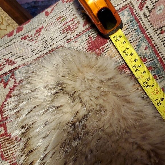 💥SOLD💥HUGE"Wolf Fur Collar - Picture 10 of 13